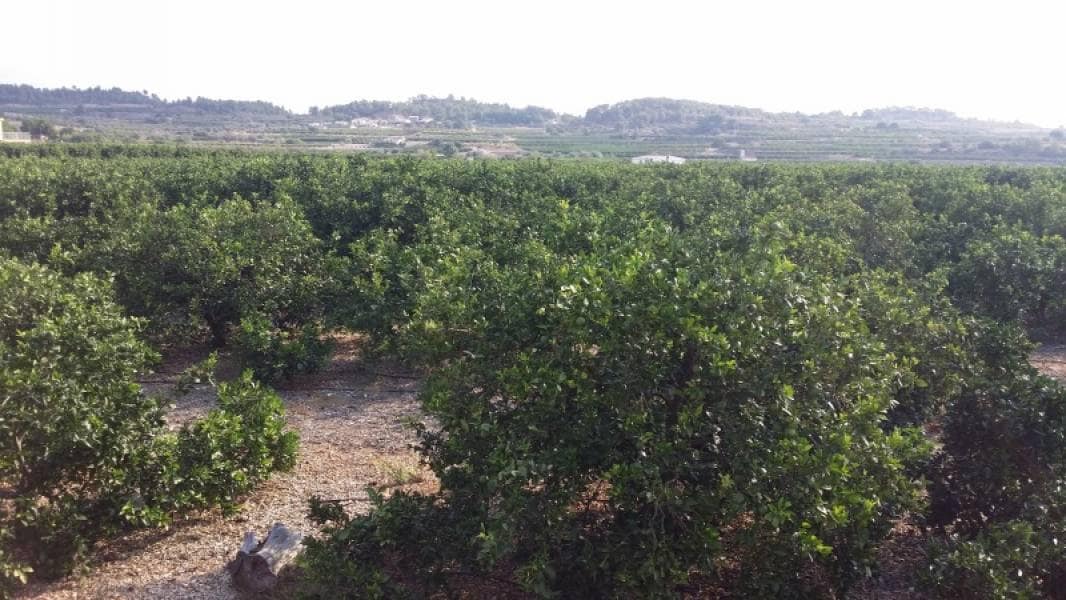 Terreno en Montroy, Valencia en venta Foto del edificio- Imagen 1 de 15