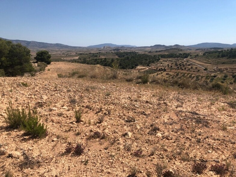 Calle Juan Andrés Valor, La Zarza, Badajoz en venta - Vista aérea - Imagen 1 de 1