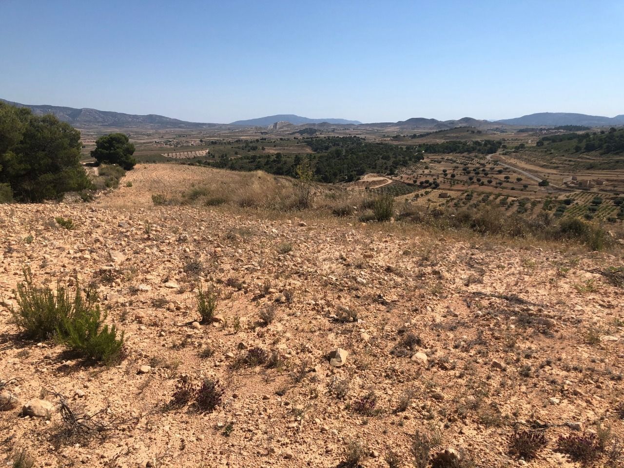 Calle Juan Andrés Valor, La Zarza, Badajoz en venta Vista aérea- Imagen 1 de 1
