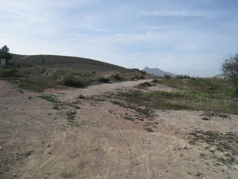 Terreno en Aspe, Alicante en venta - Plano del sitio - Imagen 2 de 4