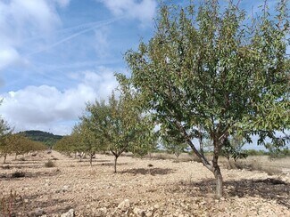 Más detalles de Terreno en venta