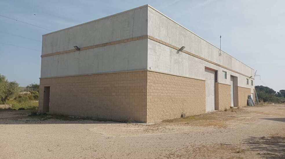 Nave en Amposta, Tarragona en venta - Foto del edificio - Imagen 1 de 23