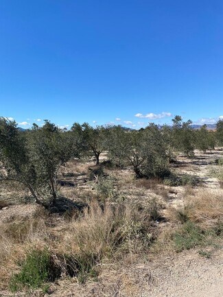 Más detalles de Terreno en venta