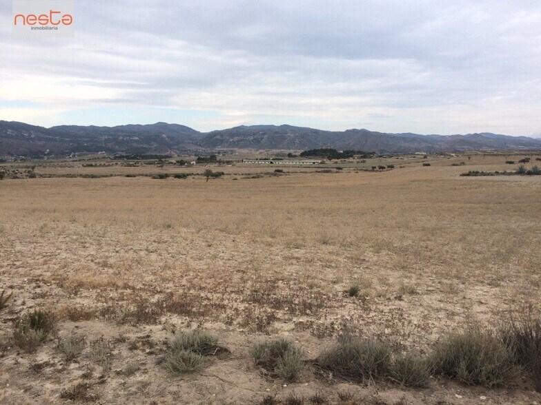 Terreno en Lorca, Murcia en venta - Foto del edificio - Imagen 3 de 4