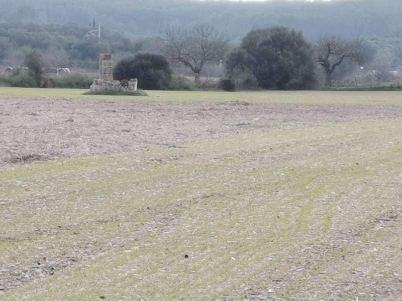 Terreno en Sineu en venta Vista aérea- Imagen 1 de 7