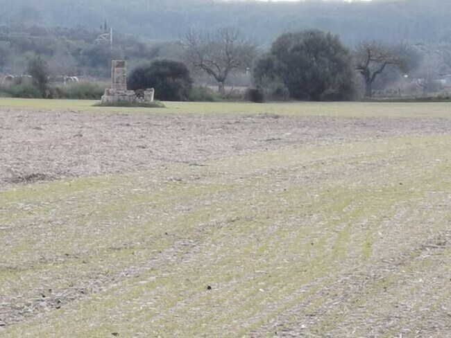 Más detalles de Terreno en venta