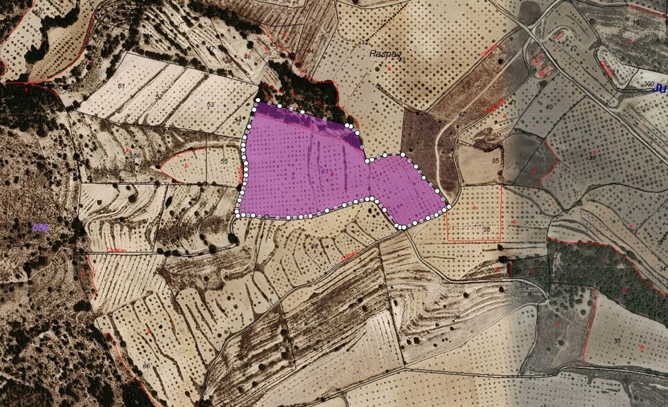 Terreno en Yecla, Murcia en venta - Foto del edificio - Imagen 1 de 1