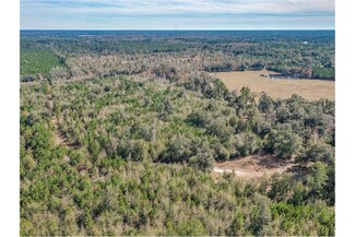 Más detalles para 344 Roland Harvey Rd, Crawfordville, FL - Terrenos en venta