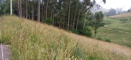 Barrio Illas, S/N, Illas, AST - AÉREA vista de mapa - Image1