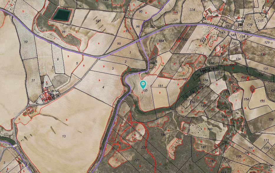 Terreno en Jumilla en venta - Foto del edificio - Imagen 1 de 3