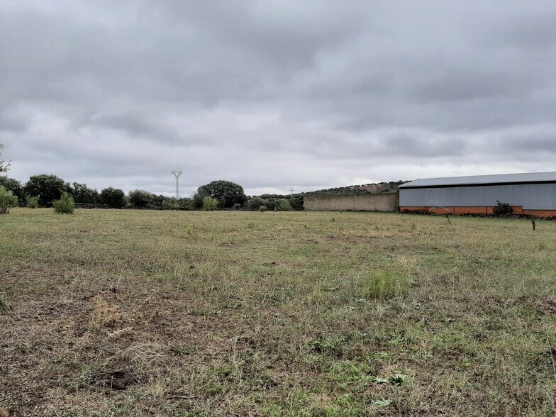 Terreno en Torremocha, Cáceres en venta - Foto principal - Imagen 1 de 7