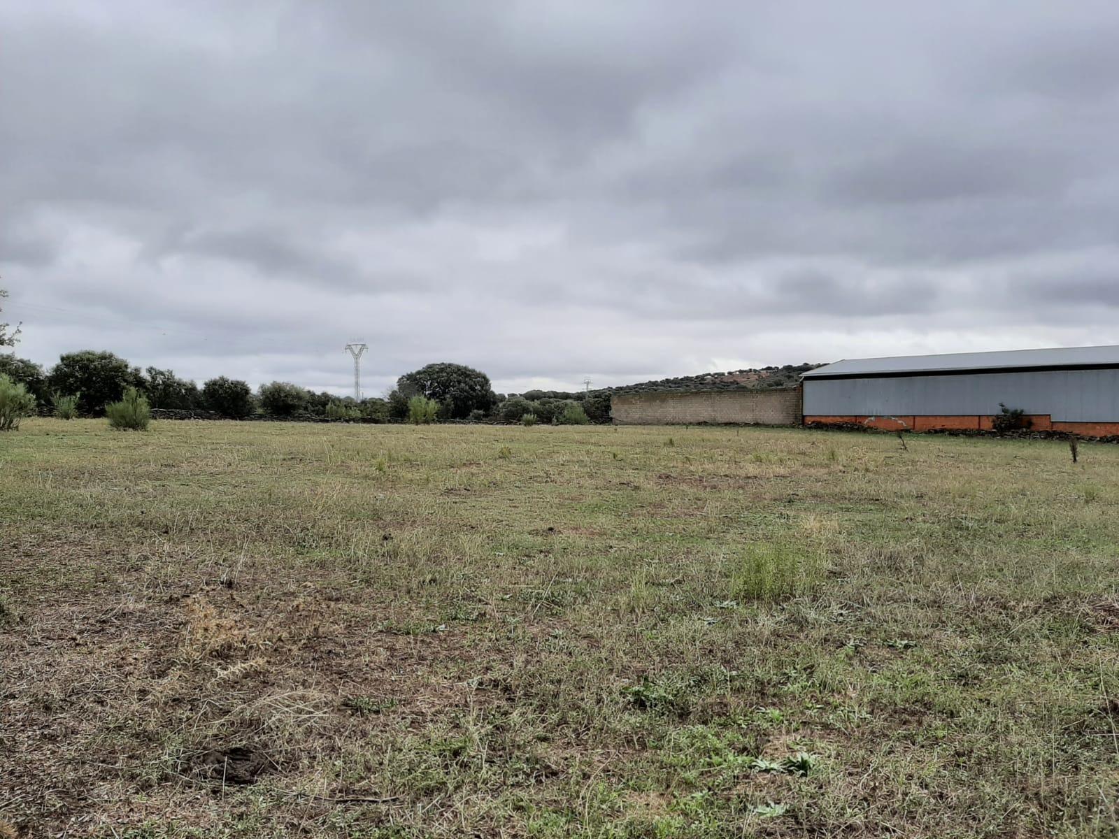 Terreno en Torremocha, Cáceres en venta Foto principal- Imagen 1 de 8