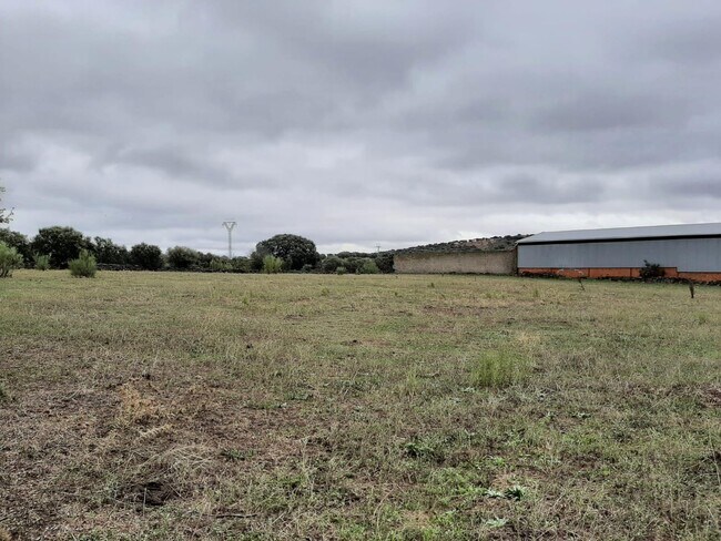 Más detalles de Plasenzuela, Botija Carretera, Torremocha - Terreno en venta