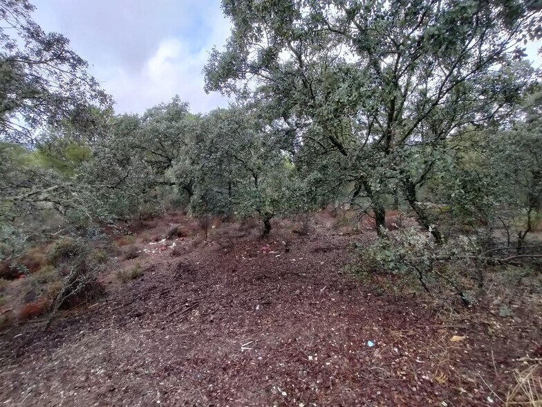 Terreno en Córdoba, Córdoba en venta - Foto del edificio - Imagen 3 de 6