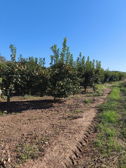 Plaça Bandes de Música de la Comunitat Valenciana, 5, València, Valencia en venta - Foto del edificio - Imagen 1 de 6