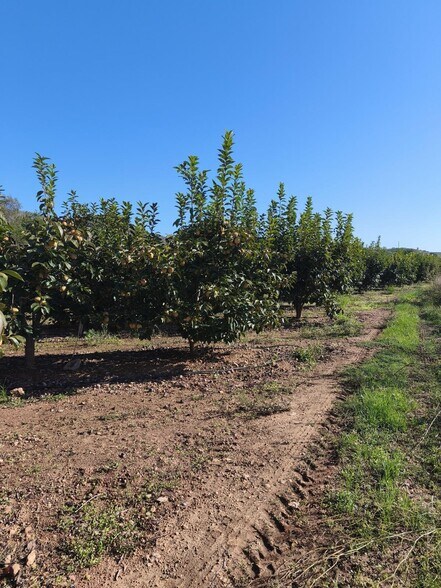 Terreno en València, Valencia en venta - Foto principal - Imagen 1 de 6