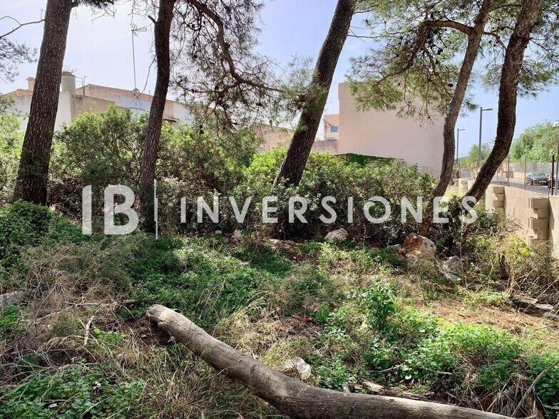 Terreno en Manacor, Islas Baleares en venta - Otros - Imagen 2 de 4