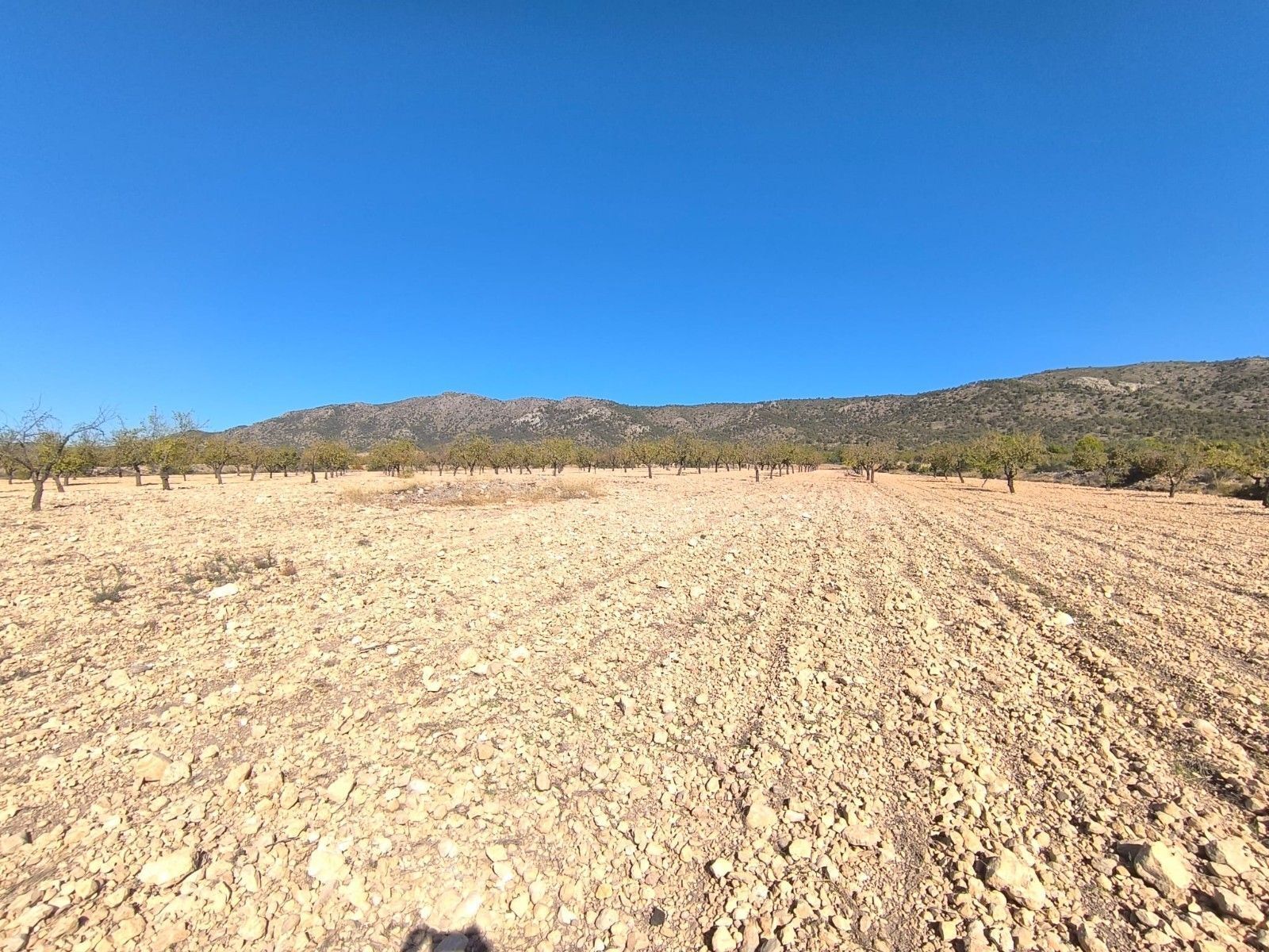 Úbeda, PINOSO, Alicante en venta Plano del sitio- Imagen 1 de 6