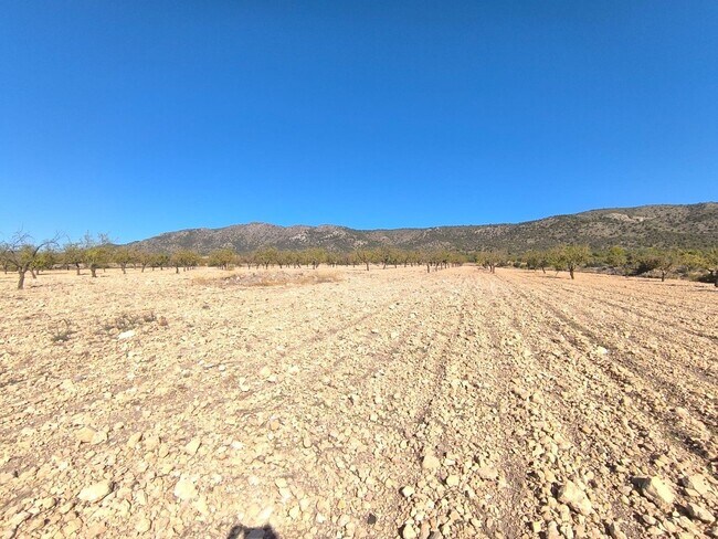 Más detalles de Terreno en venta