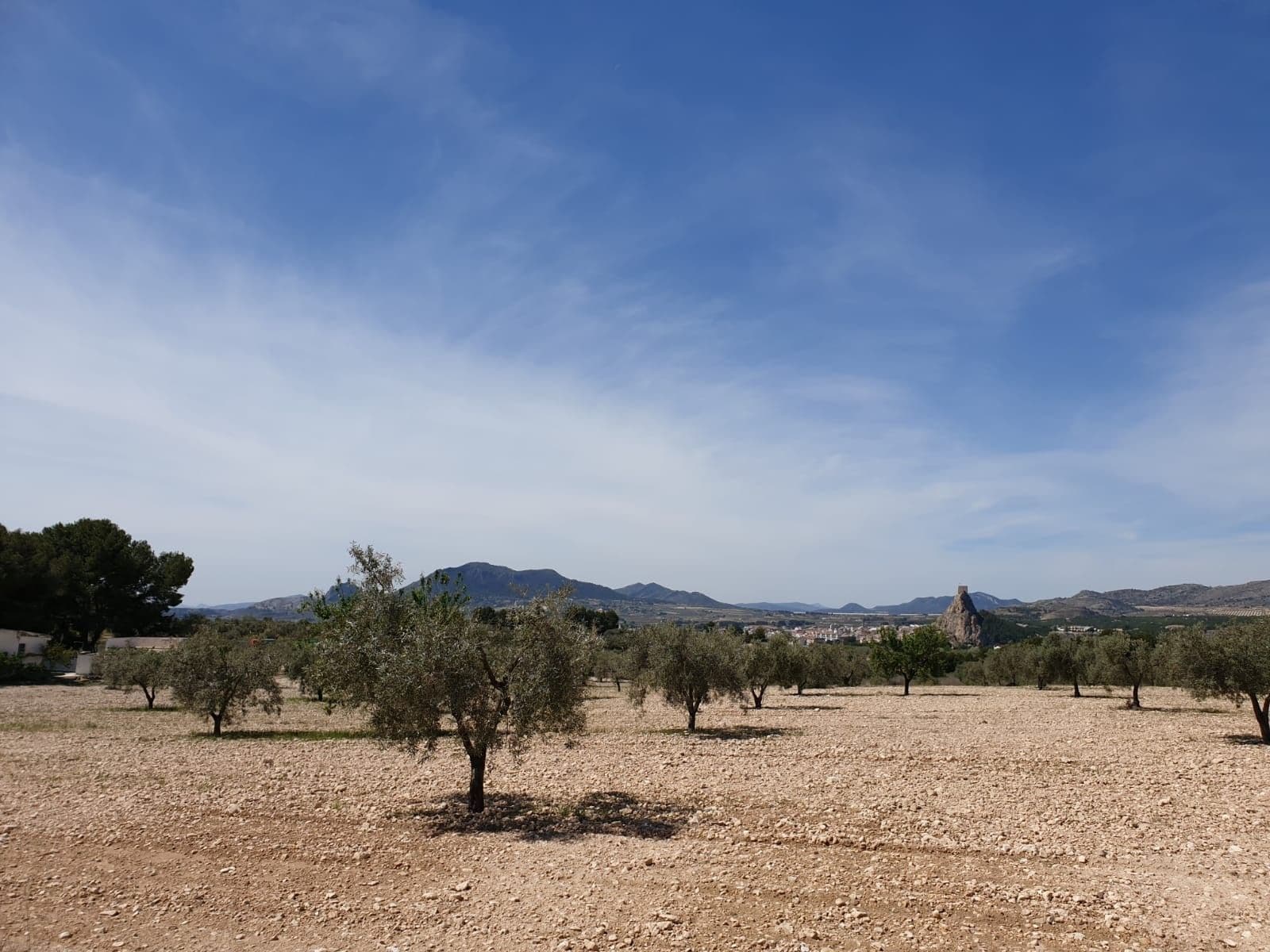 Terreno en Sax, Alicante en venta Vista aérea- Imagen 1 de 6