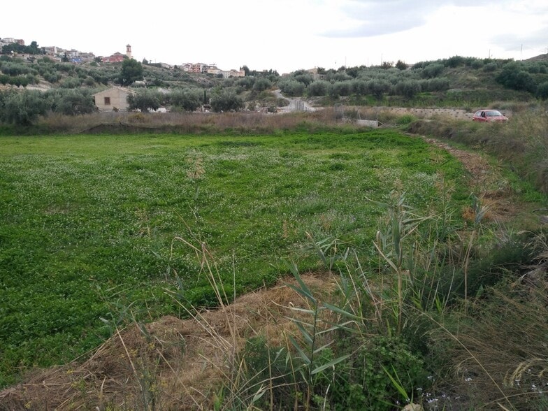 Terreno en Calasparra, Murcia en venta - Plano del sitio - Imagen 2 de 4