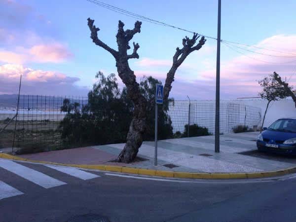 Avenida Europa, 281, La Mojonera, Almería en venta - Foto del edificio - Imagen 2 de 2