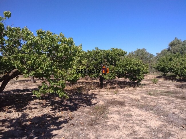 Más detalles de Corriol dels Cinc Germans, 2-A, Ontinyent - Terreno en venta