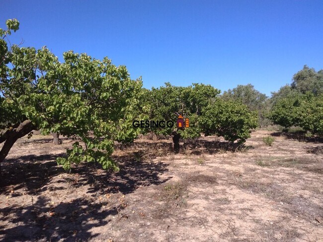 Más detalles de Terreno en venta