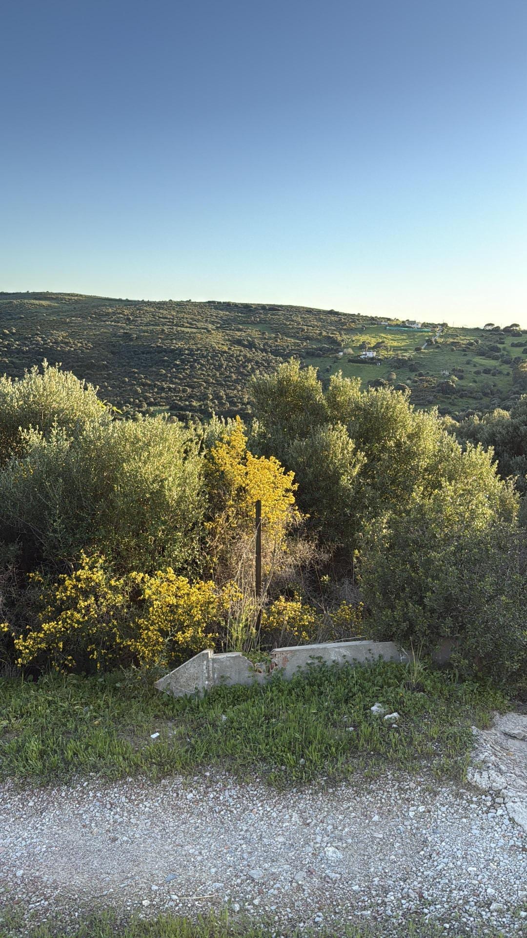 Terreno en Casares, Málaga en venta Foto del edificio- Imagen 1 de 4