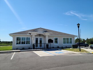 Más detalles para 2902 W Lutz Lake Fern Rd, Lutz, FL - Oficinas en venta