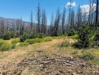 Más detalles de 172 Standart Mine Road Rd, Greenville, CA - Terreno en venta