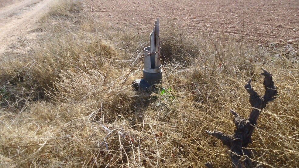 Terreno en Yecla, Murcia en venta - Foto principal - Imagen 3 de 4