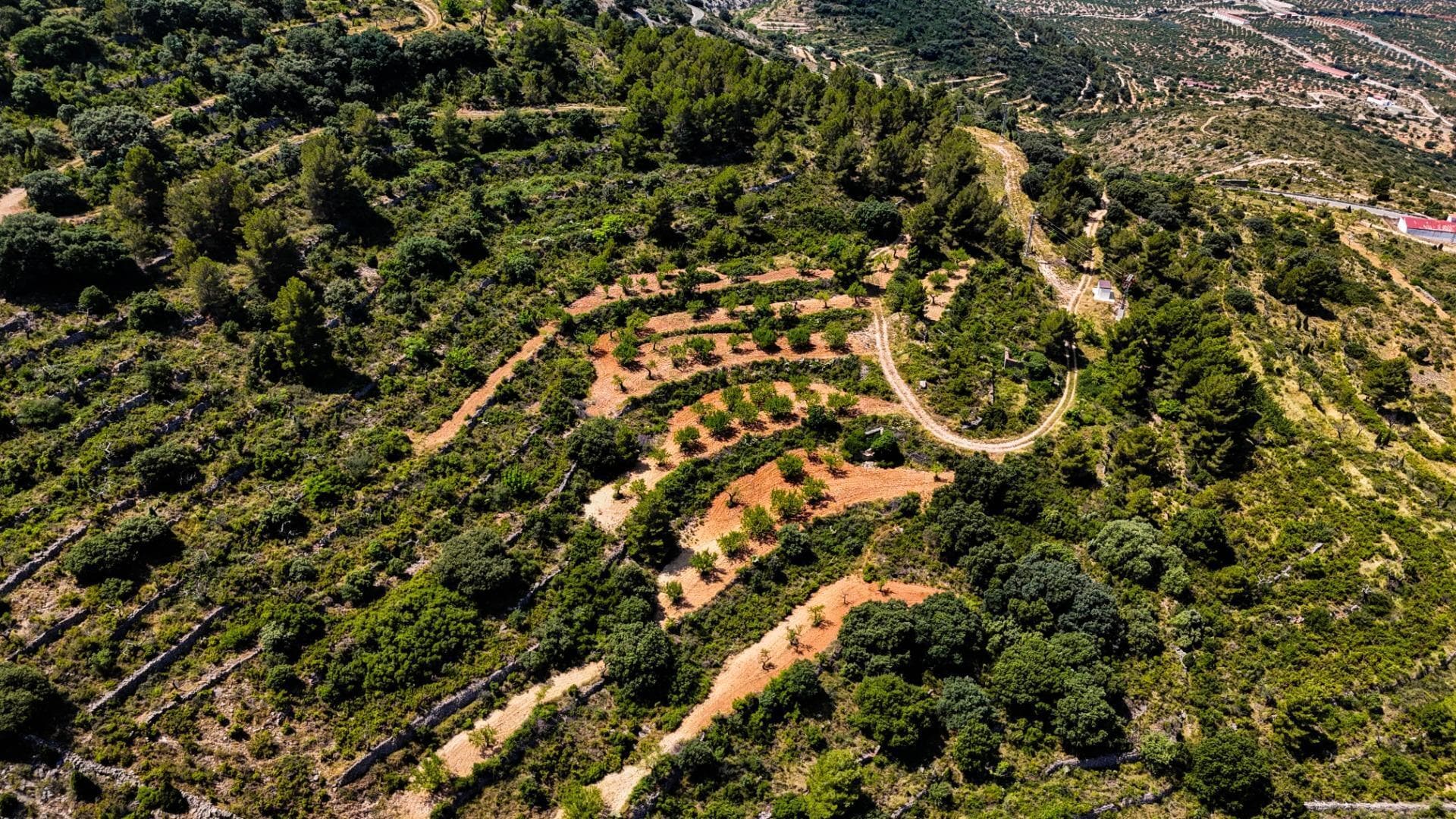 Pou del Figueral, 4, Sierra Engarcerán, Castellón en venta Foto principal- Imagen 1 de 37