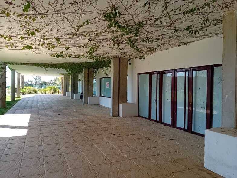 Urbanización Parque Botánico, Benahavís, Málaga en venta - Foto del edificio - Imagen 2 de 13