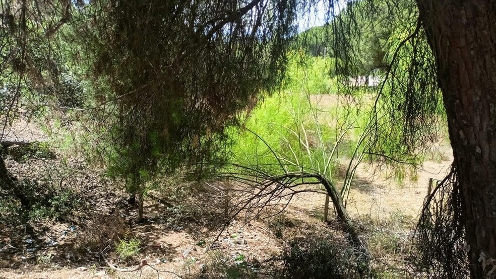 Camino Campamento, Córdoba, Córdoba en venta - Foto principal - Imagen 3 de 31