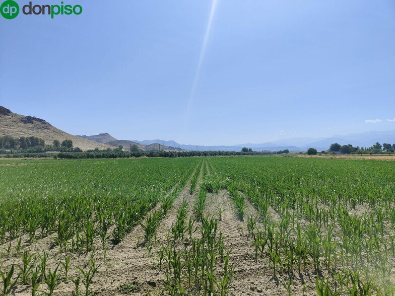 Carretera de Pinos Puente, Atarfe, Granada en venta - Foto del edificio - Imagen 3 de 9