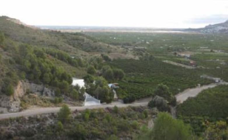 Partida Mostalla, Pego, Alicante en venta - Foto principal - Imagen 3 de 8