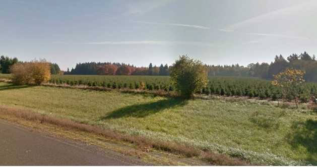 12704 Ehlen Rd, Aurora, OR en alquiler - Otros - Imagen 3 de 4