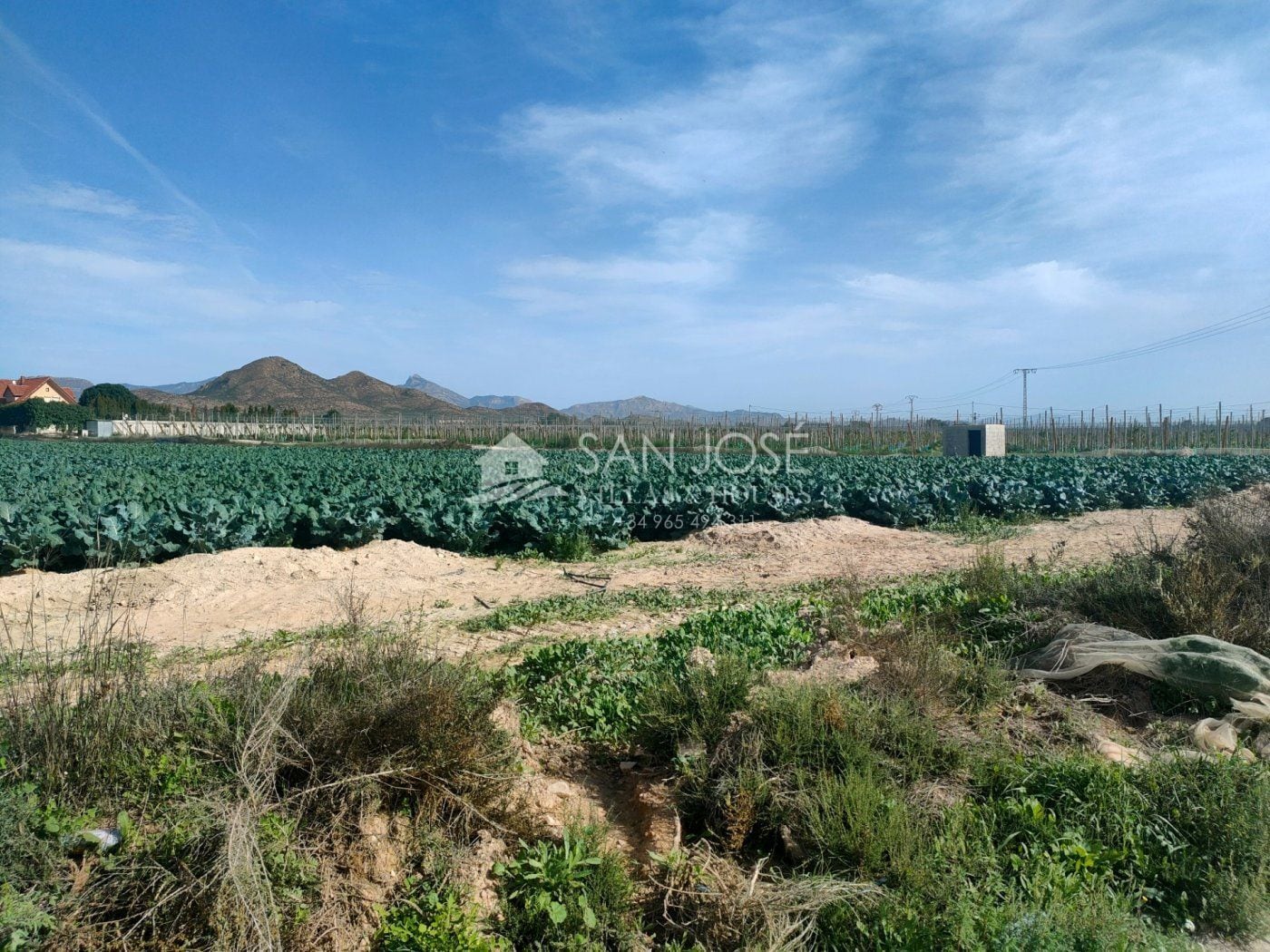 Terreno en Monforte del Cid, Alicante en venta Foto principal- Imagen 1 de 7