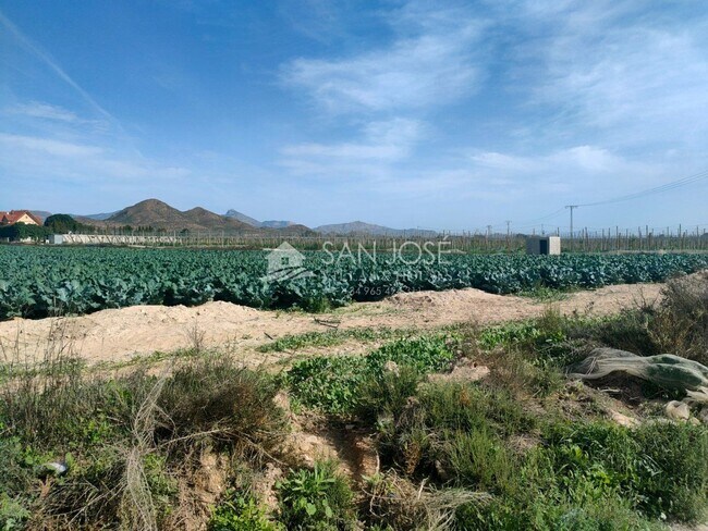 Más detalles de Terreno en venta