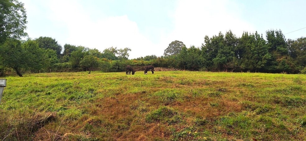 Camino del Molino, S/N, Gijón, Asturias en venta - Foto del edificio - Imagen 3 de 34