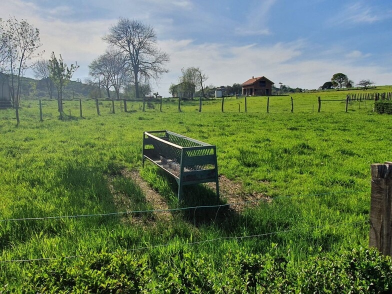 Robleu, S/N, Nava, Asturias en venta - Foto del edificio - Imagen 1 de 10