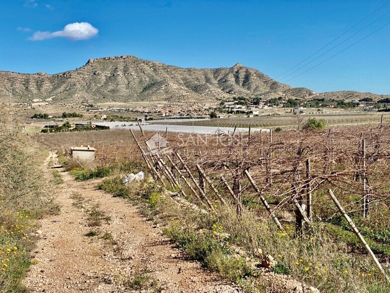 Terreno en Aspe, Alicante en venta - Vista aérea - Imagen 2 de 8