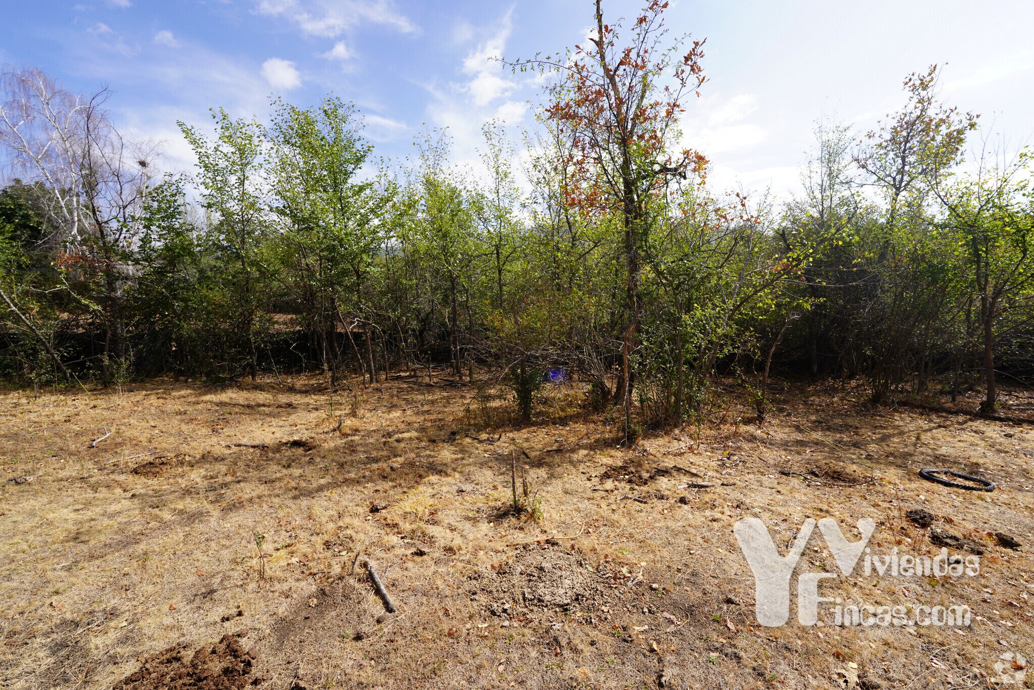 Polígono 9, Parcela 19, Campillo de Ranas, Guadalajara en venta Foto principal- Imagen 1 de 1