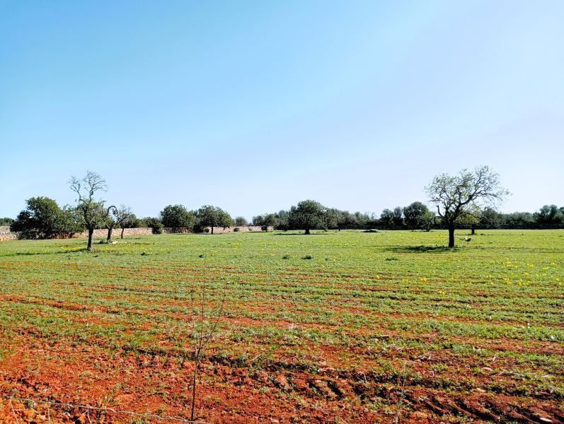 Terreno en Santanyí, Islas Baleares en venta Vista aérea- Imagen 1 de 5