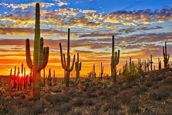 Bar, Apache Junction, AZ en venta - Foto del edificio - Imagen 2 de 6