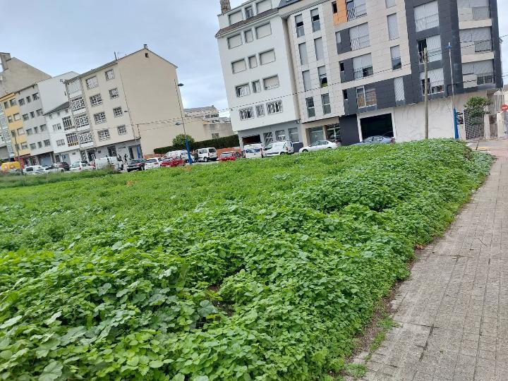 Terreno en Burela en venta - Foto del edificio - Imagen 2 de 13