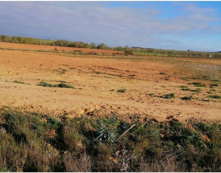 Nave en Mansilla de las Mulas en venta - Foto del edificio - Imagen 2 de 5