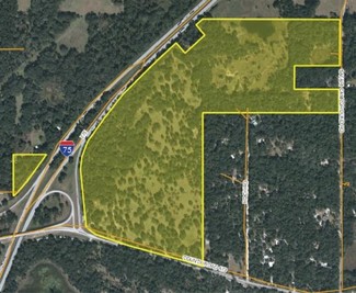 Más detalles para 146 Acres I-75 Interchange Land, Bushnell, FL - Terrenos en venta