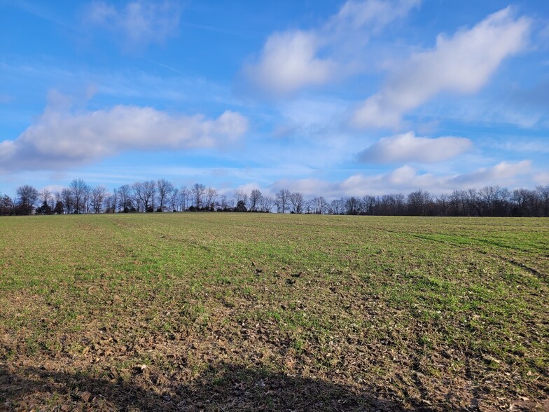 Bales Rd. (26.5+/- Acres), Middletown, MO en venta - Otros - Imagen 3 de 20